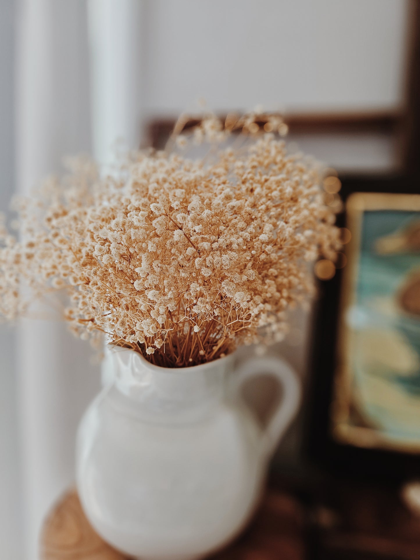 Bundle of Dried BabyBreaths
